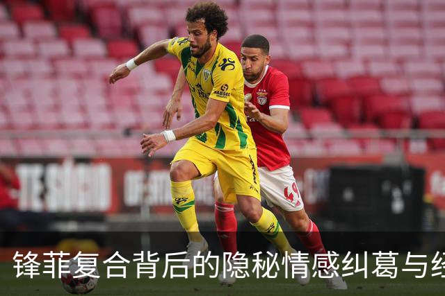 锋菲复合背后的隐秘情感纠葛与经纪人关系